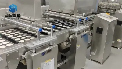 Industrial Depositing Line SC600