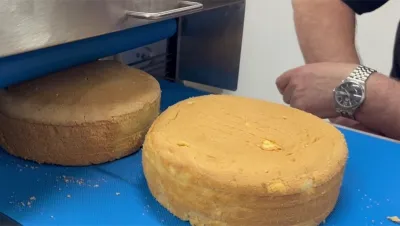 Horizontal Cake Slicer CU480
