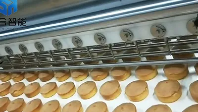 Automated Top Injection Machine ZX600