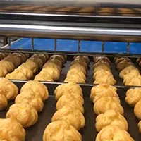 Automatic Syrup Sprayer/Egg Wash Sprayer