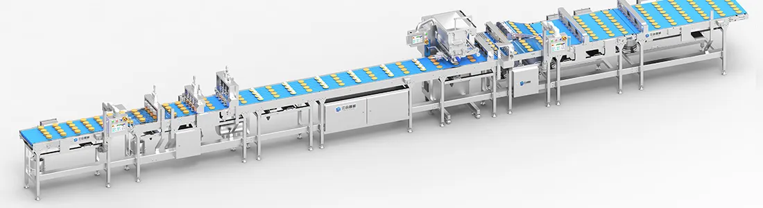 Bakery Production Line