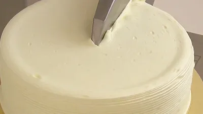 Cake Decorating Machine (Double Station)