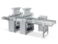 Industrial Depositing Line (Dual-Station Depositing)