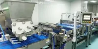 Pancake Production Line (Dorayaki Machine)